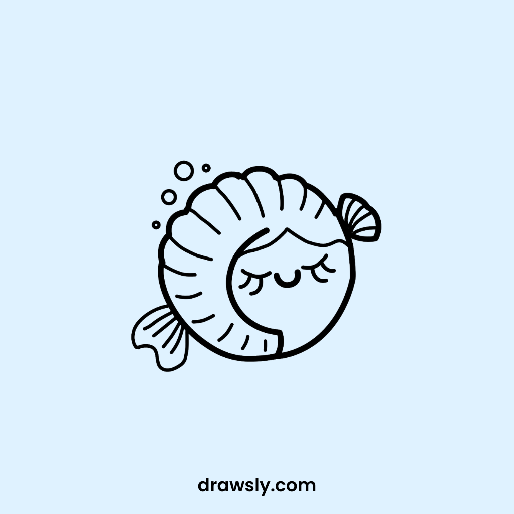 Cute Napping Nautilus Drawings